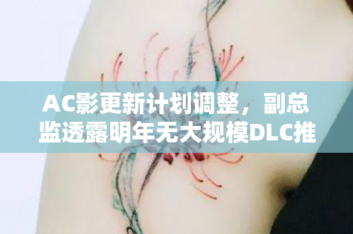 AC影更新计划调整，副总监透露明年无大规模DLC推出