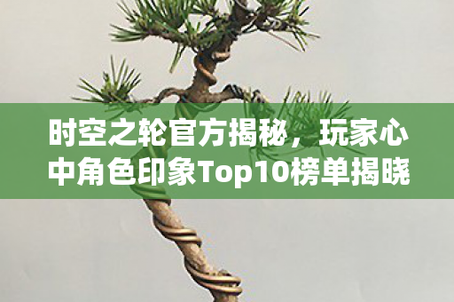 时空之轮官方揭秘，玩家心中角色印象Top10榜单揭晓