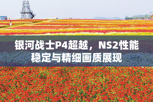 银河战士P4超越，NS2性能稳定与精细画质展现
