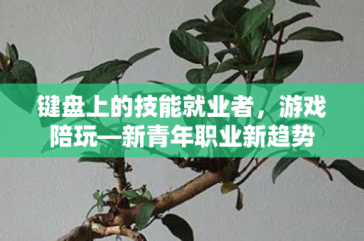 键盘上的技能就业者，游戏陪玩—新青年职业新趋势