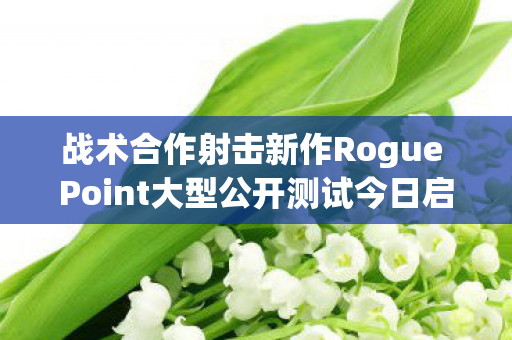 战术合作射击新作Rogue Point大型公开测试今日启动，全新地图与AI升级等重磅内容同步上线