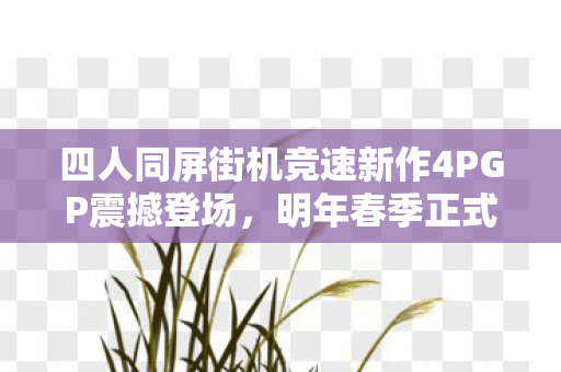 四人同屏街机竞速新作4PGP震撼登场，明年春季正式上线！