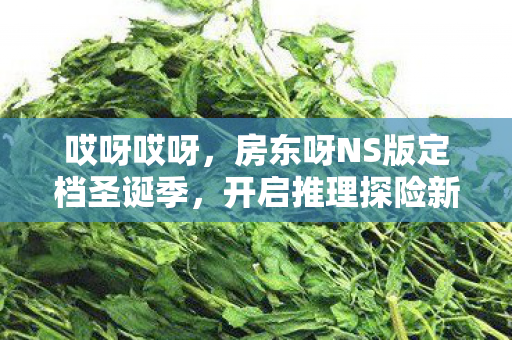 哎呀哎呀，房东呀NS版定档圣诞季，开启推理探险新篇章！