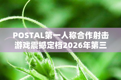 POSTAL第一人称合作射击游戏震撼定档2026年第三季度！