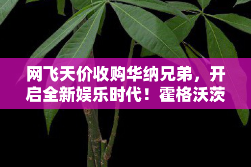 网飞天价收购华纳兄弟，开启全新娱乐时代！霍格沃茨与蝙蝠侠的未来在此揭晓