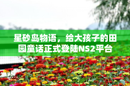 星砂岛物语，给大孩子的田园童话正式登陆NS2平台