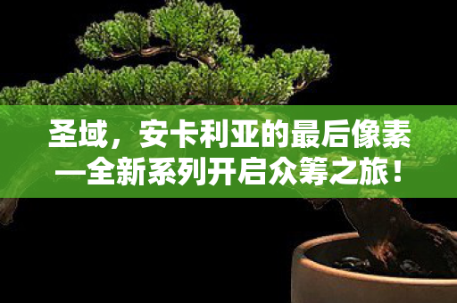 圣域，安卡利亚的最后像素—全新系列开启众筹之旅！