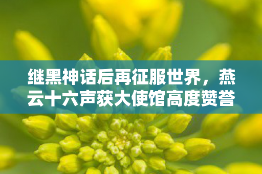 继黑神话后再征服世界，燕云十六声获大使馆高度赞誉
