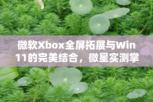 微软Xbox全屏拓展与Win11的完美结合，微星实测掌机内存占用显著下降