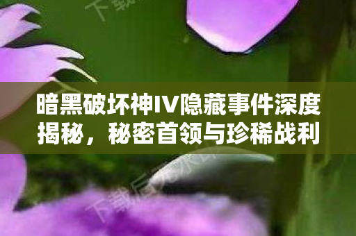 暗黑破坏神IV隐藏事件深度揭秘，秘密首领与珍稀战利品