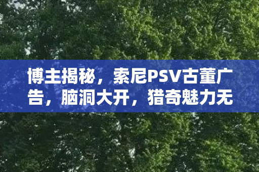 博主揭秘，索尼PSV古董广告，脑洞大开，猎奇魅力无限