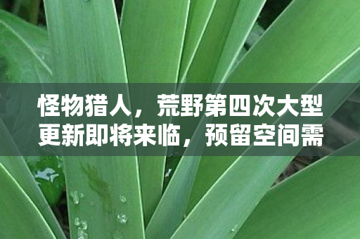 怪物猎人，荒野第四次大型更新即将来临，预留空间需求揭秘