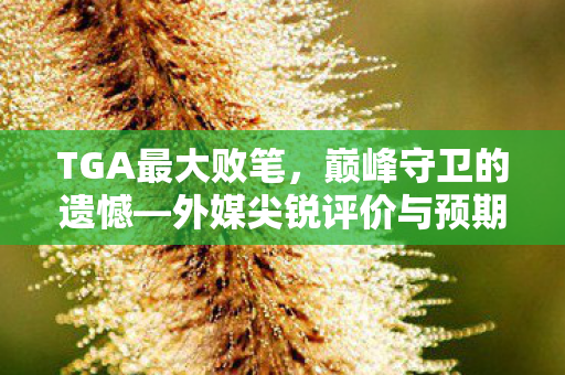 TGA最大败笔，巅峰守卫的遗憾—外媒尖锐评价与预期落差