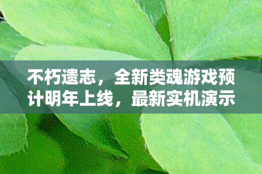 不朽遗志，全新类魂游戏预计明年上线，最新实机演示震撼发布