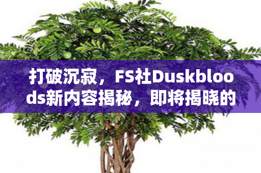 打破沉寂，FS社Duskbloods新内容揭秘，即将揭晓的未知世界