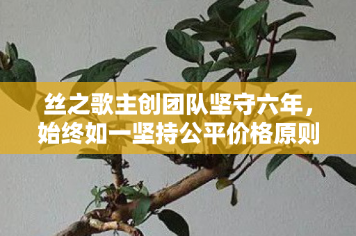 丝之歌主创团队坚守六年，始终如一坚持公平价格原则，致力于为广大游戏爱好者带来优质体验