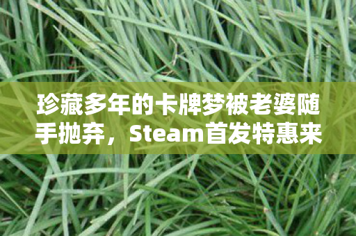 珍藏多年的卡牌梦被老婆随手抛弃，Steam首发特惠来袭！