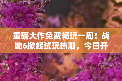 重磅大作免费畅玩一周！战地6掀起试玩热潮，今日开启免费体验周