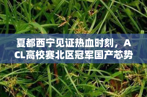 夏都西宁见证热血时刻，ACL高校赛北区冠军国产芯势力闪耀高原荣光