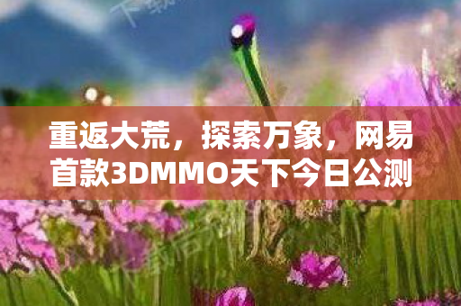 重返大荒，探索万象，网易首款3DMMO天下今日公测盛启