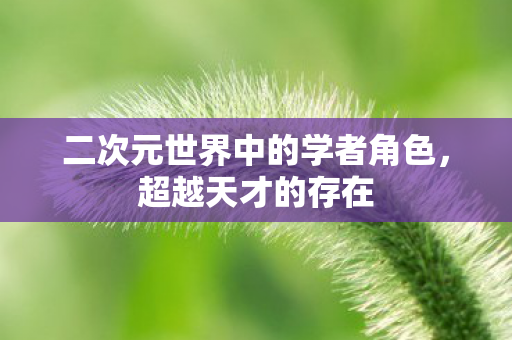 二次元世界中的学者角色，超越天才的存在