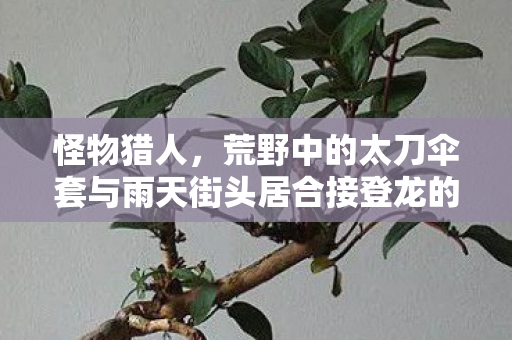 怪物猎人，荒野中的太刀伞套与雨天街头居合接登龙的独特体验