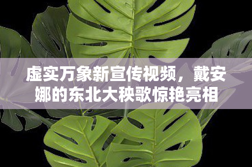 虚实万象新宣传视频，戴安娜的东北大秧歌惊艳亮相
