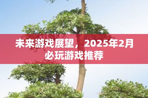 未来游戏展望，2025年2月必玩游戏推荐