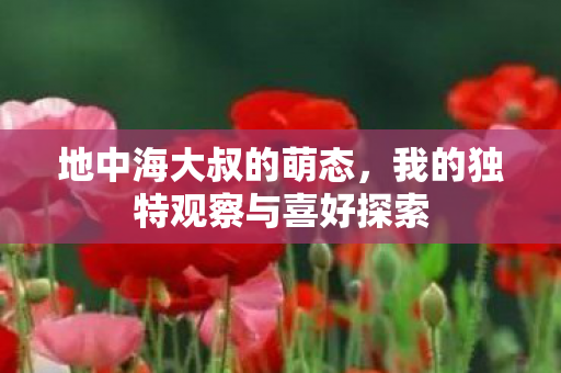 地中海大叔的萌态，我的独特观察与喜好探索