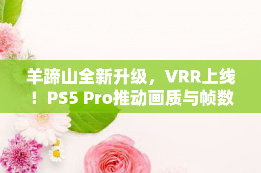 羊蹄山全新升级，VRR上线！PS5 Pro推动画质与帧数质的飞跃