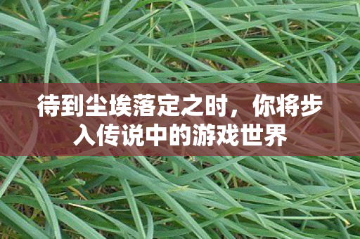 待到尘埃落定之时，你将步入传说中的游戏世界
