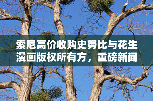 索尼高价收购史努比与花生漫画版权所有方，重磅新闻深度解析