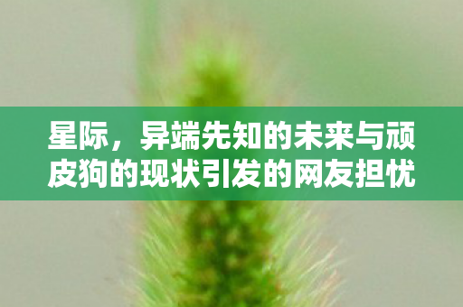 星际，异端先知的未来与顽皮狗的现状引发的网友担忧