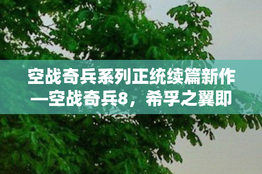 空战奇兵系列正统续篇新作—空战奇兵8，希孚之翼即将震撼登场！