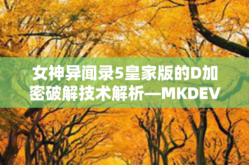 女神异闻录5皇家版的D加密破解技术解析—MKDEV与稳定的未来展望