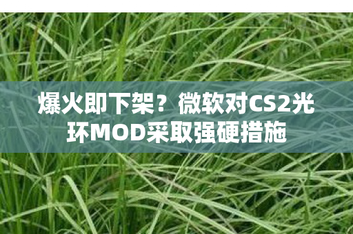 爆火即下架？微软对CS2光环MOD采取强硬措施