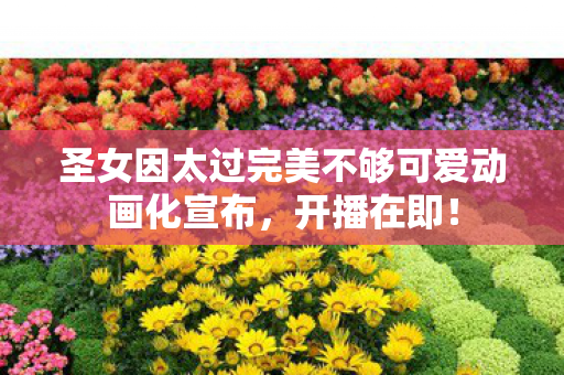 圣女因太过完美不够可爱动画化宣布，开播在即！