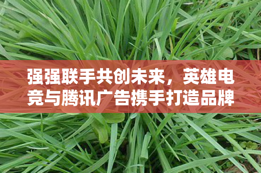 强强联手共创未来，英雄电竞与腾讯广告携手打造品牌电竞营销白皮书—构建电竞营销增长新范式