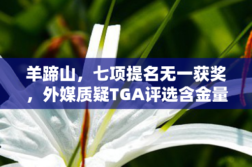 羊蹄山，七项提名无一获奖，外媒质疑TGA评选含金量