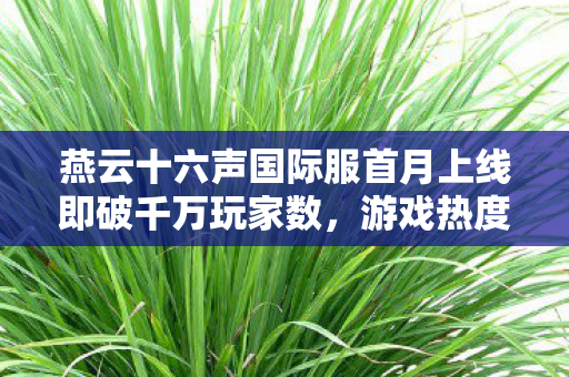燕云十六声国际服首月上线即破千万玩家数，游戏热度持续飙升