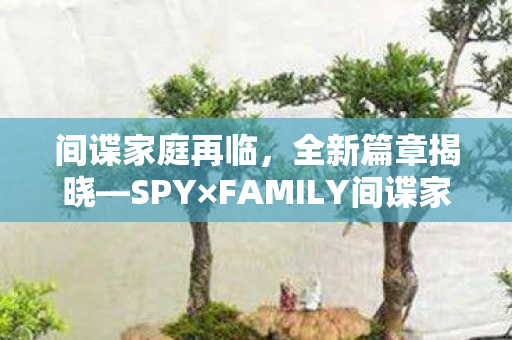 间谍家庭再临，全新篇章揭晓—SPY×FAMILY间谍家家酒〉第三季公布