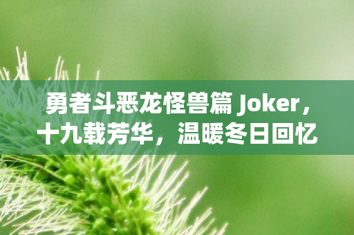 勇者斗恶龙怪兽篇 Joker，十九载芳华，温暖冬日回忆