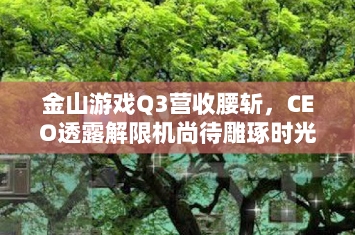 金山游戏Q3营收腰斩，CEO透露解限机尚待雕琢时光