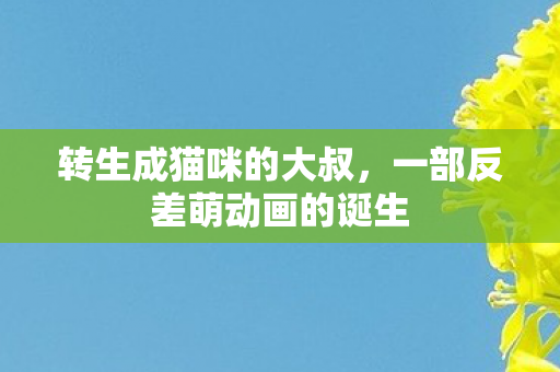 转生成猫咪的大叔，一部反差萌动画的诞生