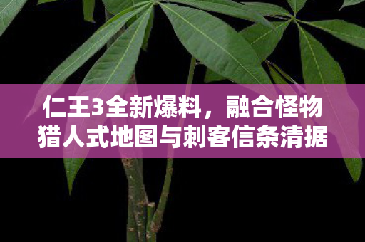 仁王3全新爆料，融合怪物猎人式地图与刺客信条清据点玩法