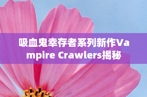 吸血鬼幸存者系列新作Vampire Crawlers揭秘