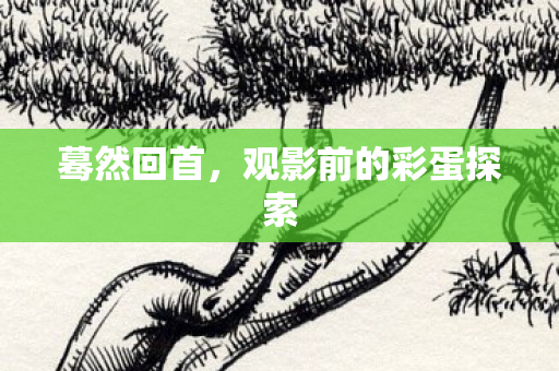 蓦然回首，观影前的彩蛋探索