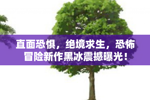 直面恐惧，绝境求生，恐怖冒险新作黑冰震撼曝光！
