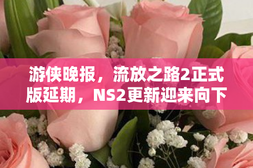 游侠晚报，流放之路2正式版延期，NS2更新迎来向下兼容新功能
