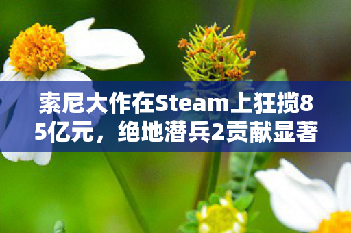 索尼大作在Steam上狂揽85亿元，绝地潜兵2贡献显著